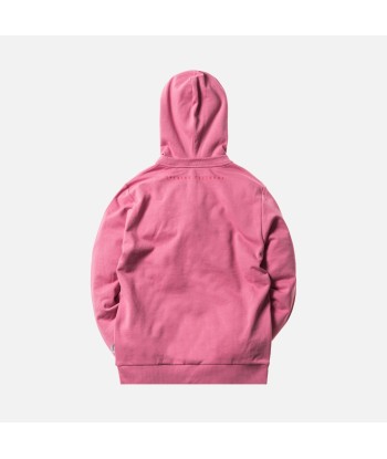 OC x Esprit Logo Hoodie - Pink Amélioration de cerveau avec