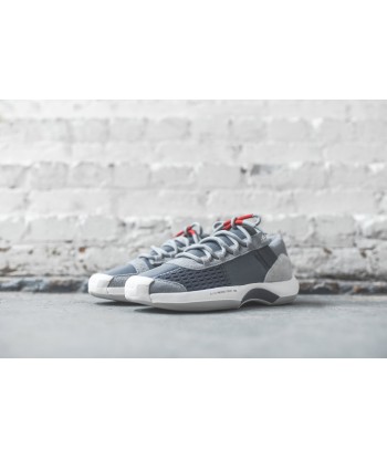 adidas Consortium Crazy 1 ADV - Grey / Red Les êtres humains sont 