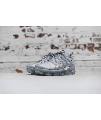 Nike Air VaporMax Plus - Wolf Grey la livraison gratuite