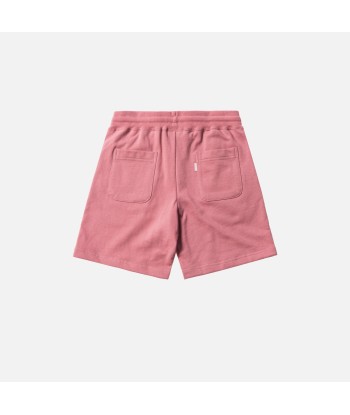 Aimé Leon Dore Logo Camper Shorts - Dusty Pink votre