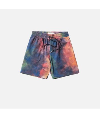 Aimé Leon Dore Leisure Shorts - Fun 2 Multi est présent 