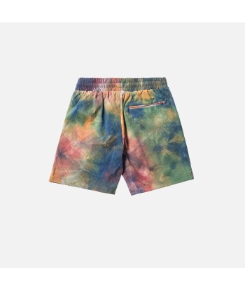 Aimé Leon Dore Leisure Shorts - Fun 2 Multi est présent 