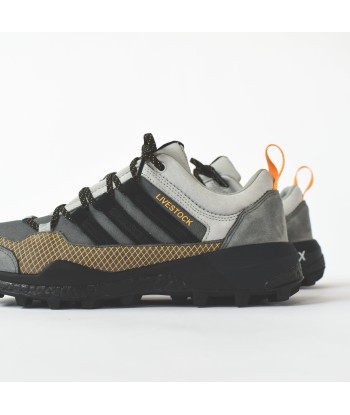 adidas Consortium x Livestock Terrex Skychaser - Grey online