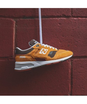 New Balance ML1530V1 - Inca Gold / Brown sélection de produits