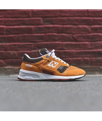 New Balance ML1530V1 - Inca Gold / Brown sélection de produits