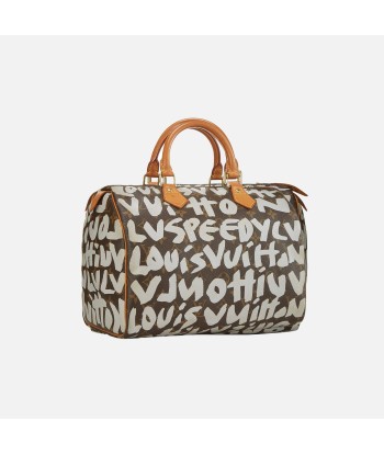 Louis Vuitton x Stephen Sprouse Speedy 30 Bag - Brown / Grey 2023