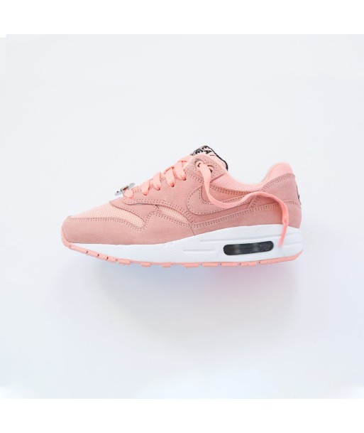 Nike GS Air Max 1 - Hand Bleached Coral de l' environnement